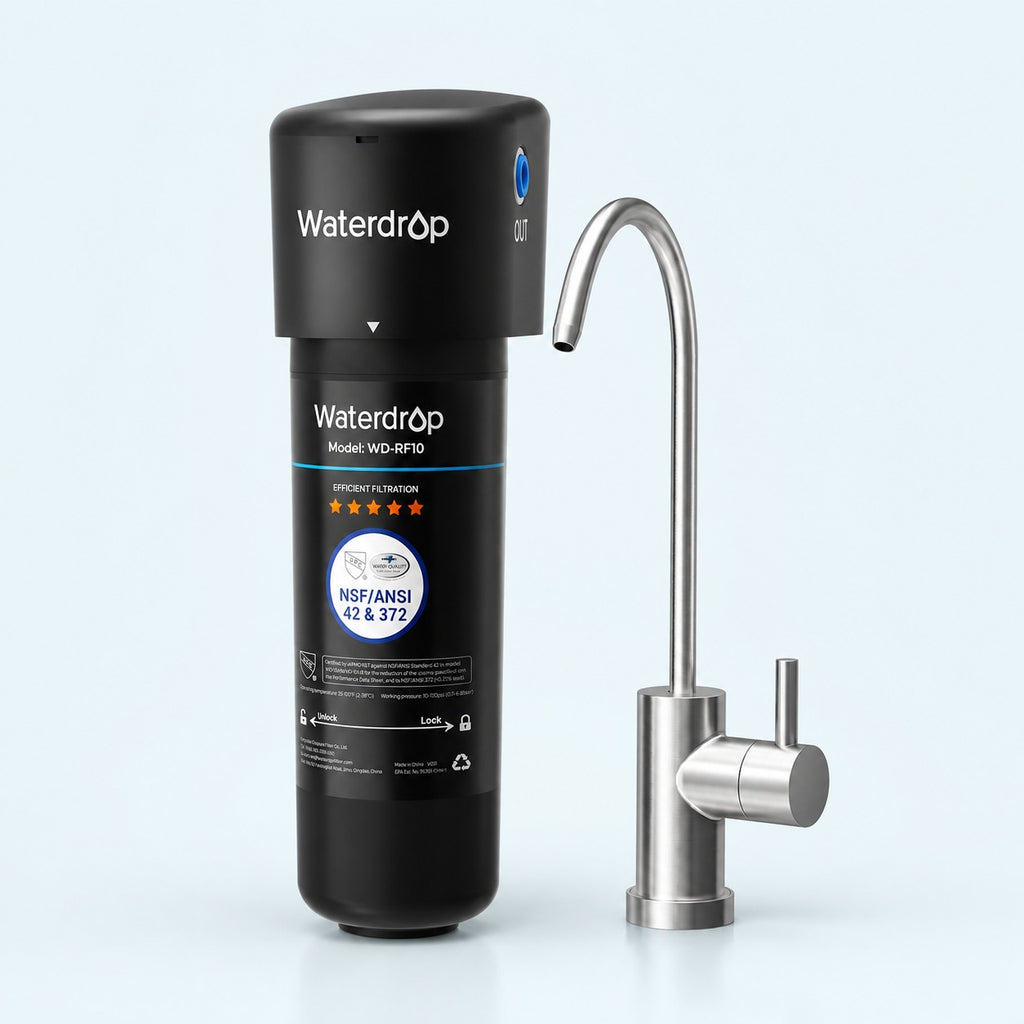 Waterdrop WD-10UB vandens filtras ir atskiras nerūdijančio plieno čiaupas